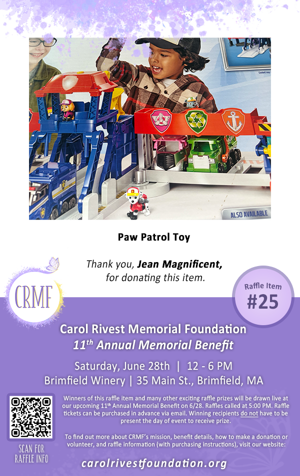 paw patrol toy raffle prize