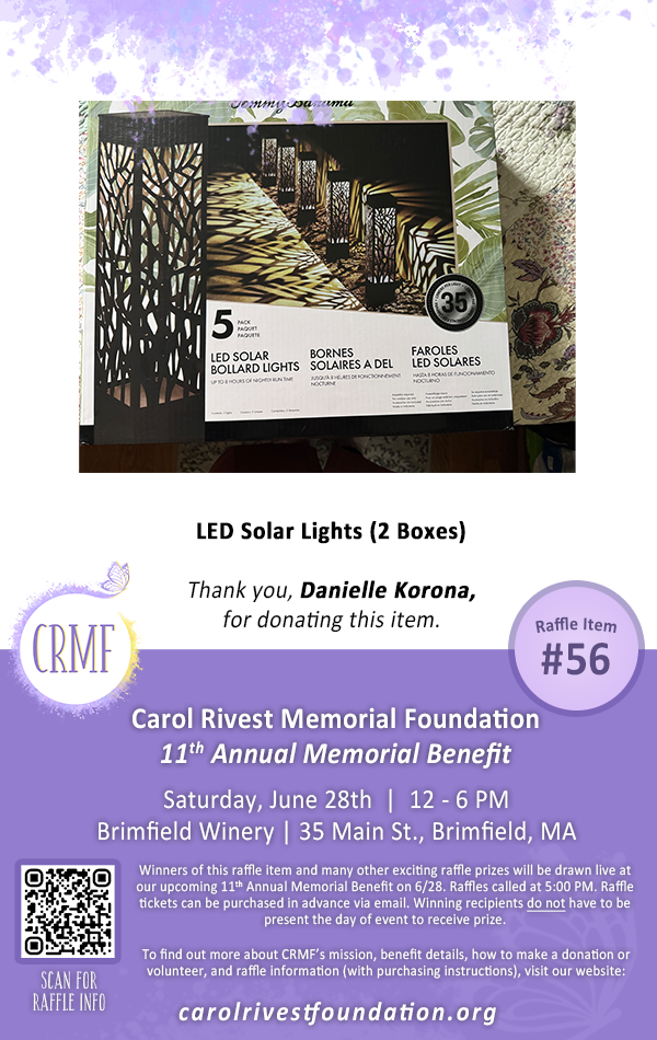 56 - LED Lights Raffle Prize